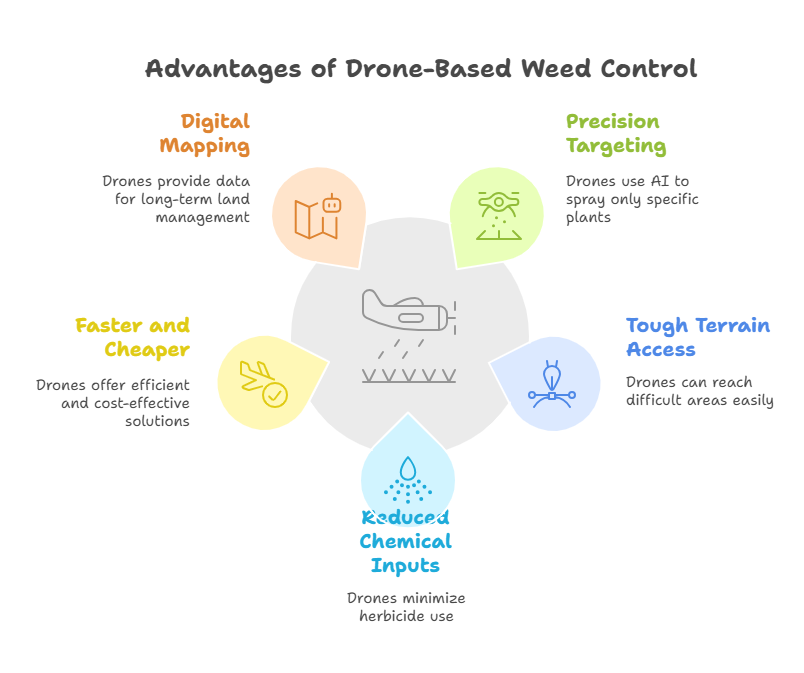 Main Advantages of Aerial Weed Control Using Drones