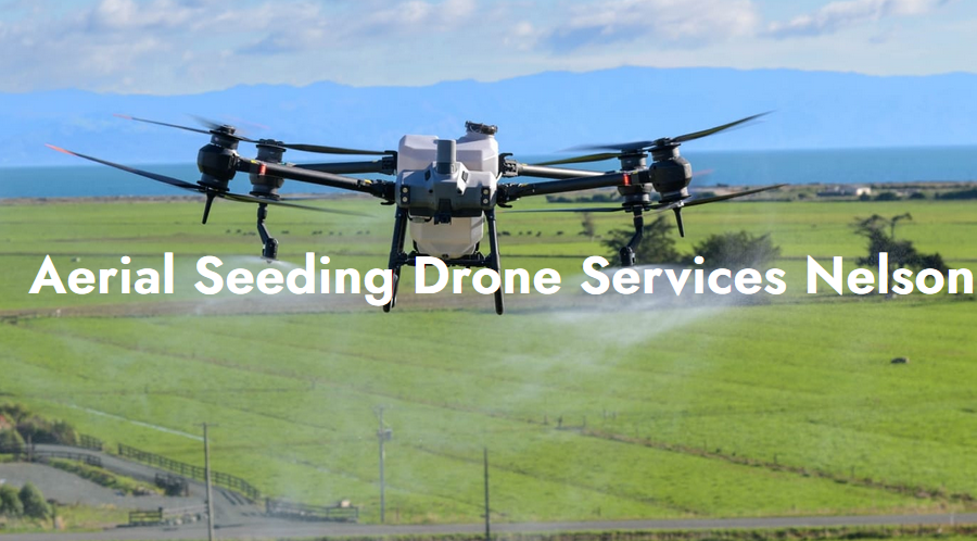 Drone Services