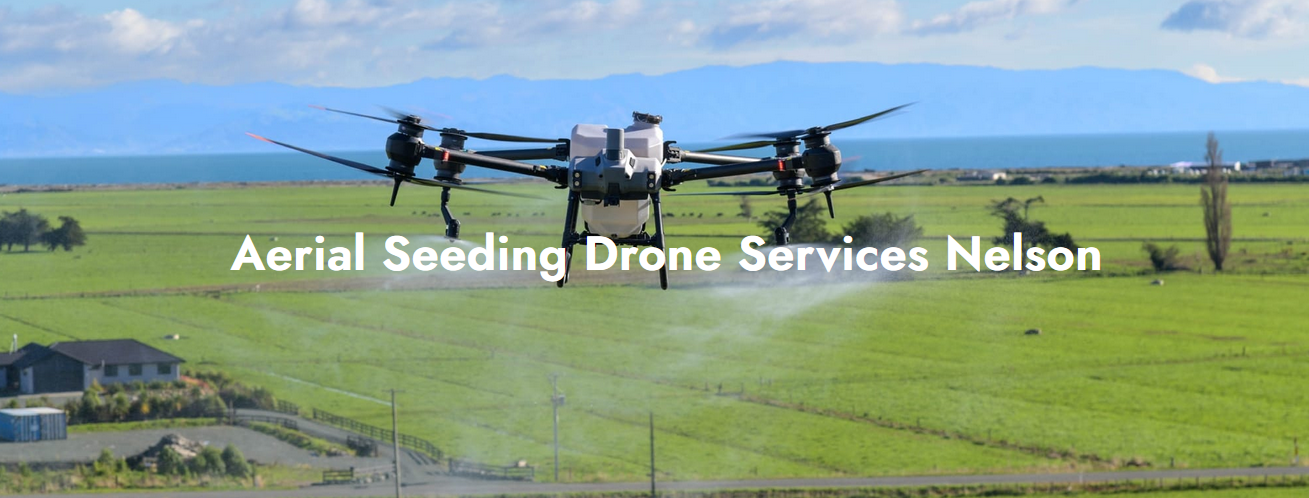 Aerial vs. Manual Spraying: Cost, Efficiency & Environmental Impact