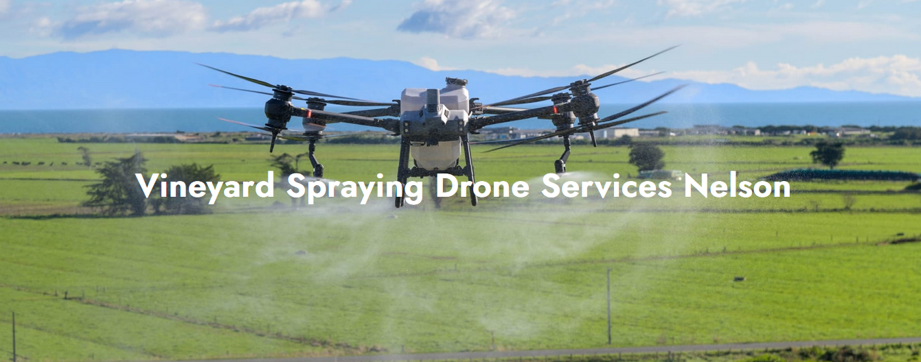 How Does Aerial Data Help You Make Smarter Farming Decisions?