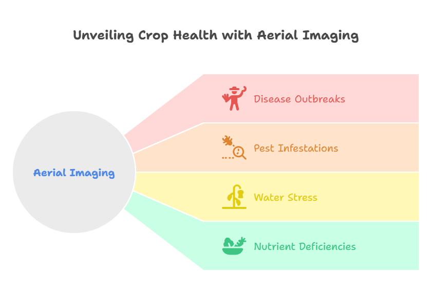 Identify Crop Health Issues before They Spread