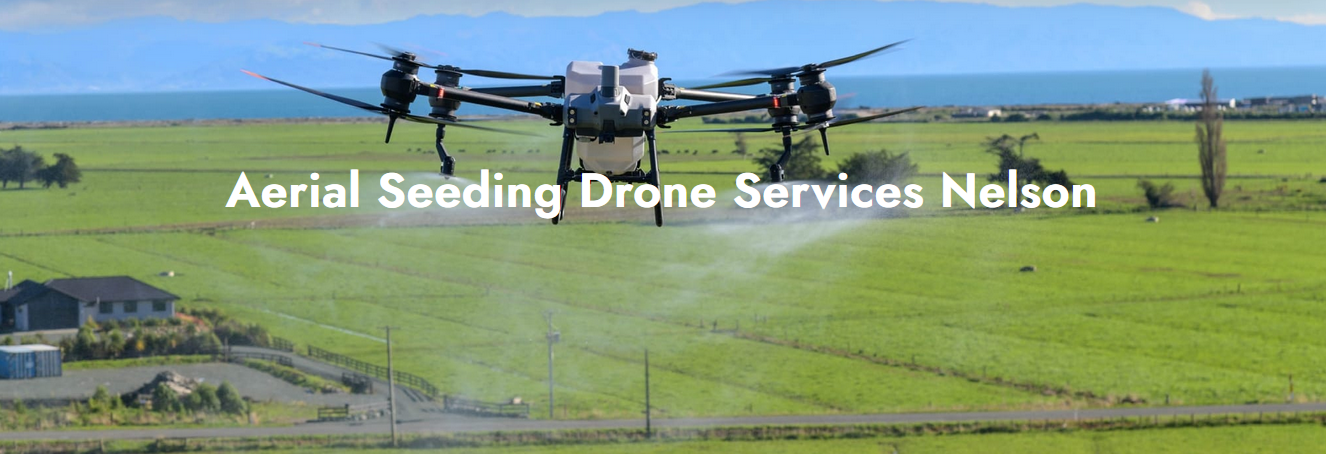 Why Farmers Are Embracing Drone Technology for Seeding and Spraying