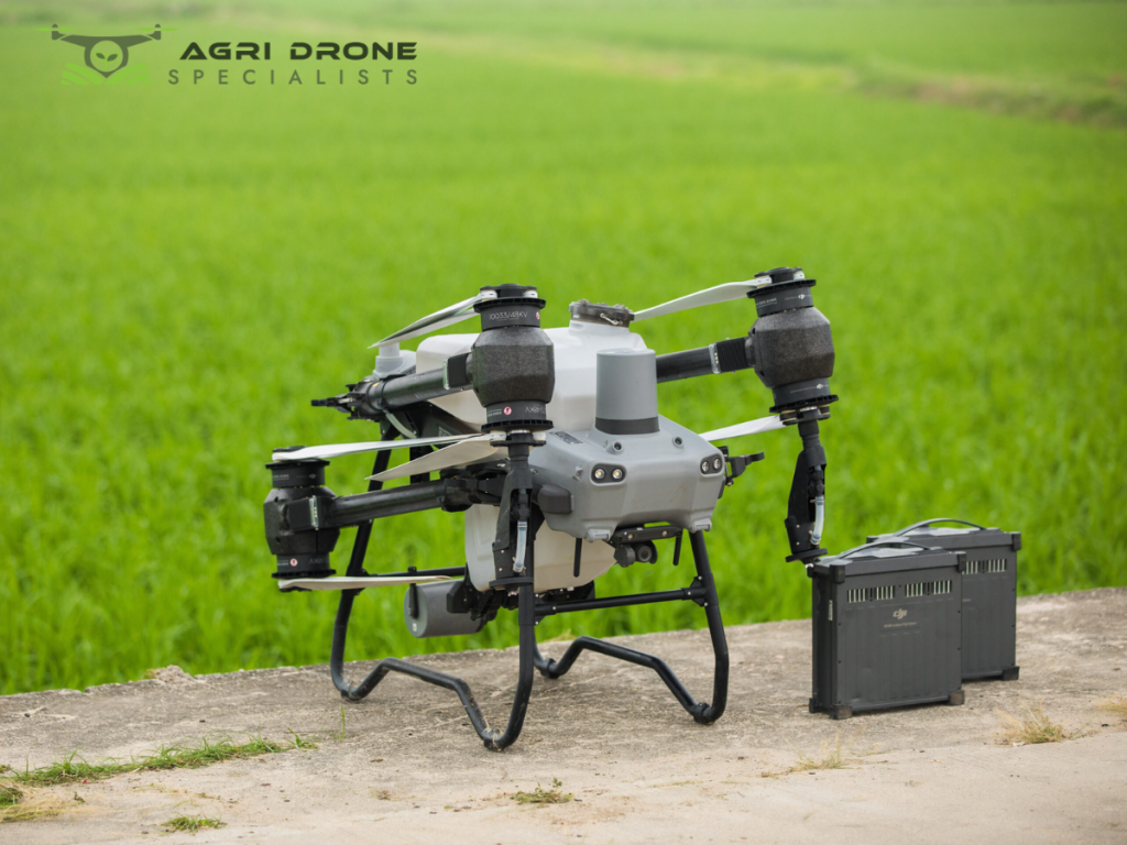Drone Crop Spraying Services